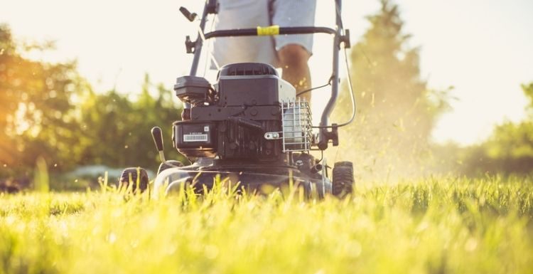 How To Use a Reel Mower