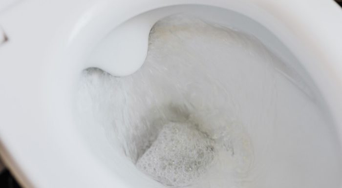 How to Fix Toilet Flush Problems
